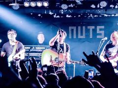 -坚果NUTS