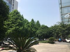 -中国（江苏）自由贸易试验区苏州片区一站式服务中心