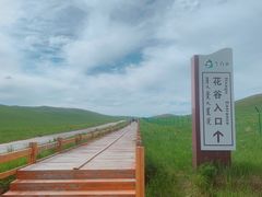 -乌拉盖芍药谷景区