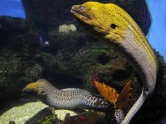 -泉城欧乐堡海洋极地世界