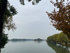 -贡湖湾湿地公园