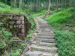 -莫干山风景区
