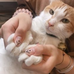 -喵酱日式美甲美睫Neko Nail Studio