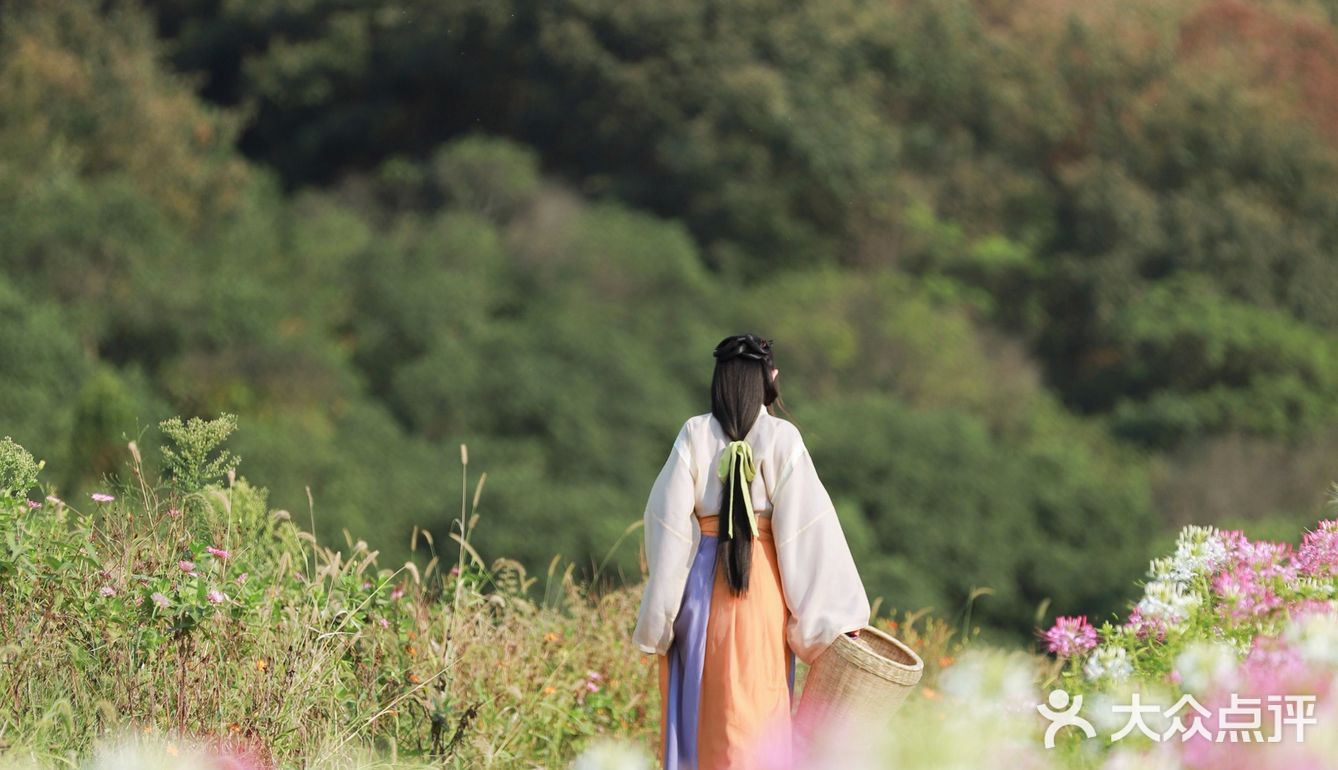 江浙沪的小京都｜无锡灵山小镇拈花湾梵天花海拍照功略