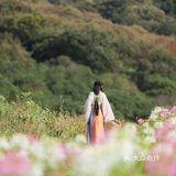 江浙沪的小京都｜无锡灵山小镇拈花湾梵天花海拍照功略