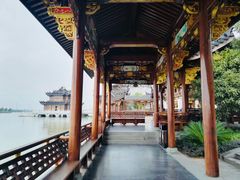 -龙天小镇