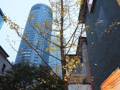 -徐家汇源景区-衡山坊