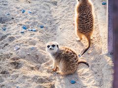 -茅山东方盐湖城景区
