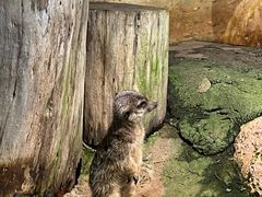 -正佳雨林生态植物园