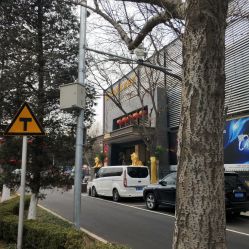 -中国黄金(北京旗舰店)