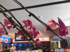 -连鹭海鲜·海肠捞饭·海胆饭(星海店)