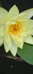-莲生母婴月子中心(清水河公园店)