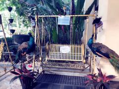 -西双版纳融创皇冠假日度假酒店