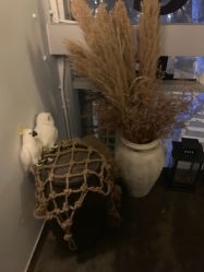点击看大图 -苗方清颜·祛痘皮肤管理