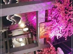 -韵秋荷(宝山龙湖天街店)