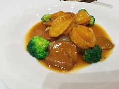 小鲍鱼-喜宴又一村·粤菜·茶点·海鲜(壹方天地店)