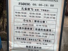 -西双版纳原始森林公园