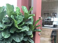 -SANYAY叁言咖啡巧克力