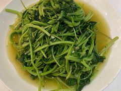 -金春禧(世茂国际广场店)
