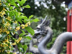 -颐和园
