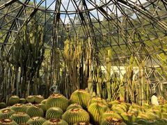 -深圳仙湖植物园