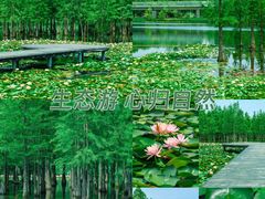-白鹭湾湿地公园