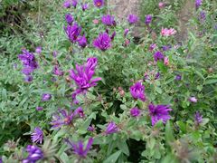 -北京宽沟会议中心