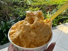 -老字号李姐炒冰(夏日百货店)