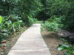 -西双版纳原始森林公园