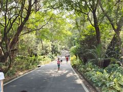 -白云山风景名胜区
