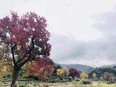 -塔川景区