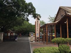 -大湾区中央湿地公园