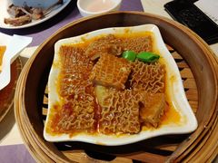 -点都德·毕德寮
