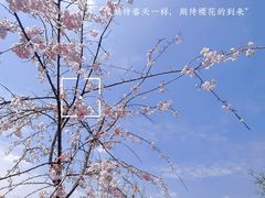 -上海辰山植物园