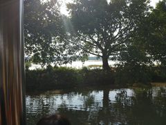 -大湾区中央湿地公园