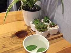 -饵块食光·云南有机手作饵块