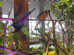 -杭州开元森泊度假乐园