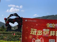 -亚龙湾国际玫瑰谷