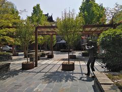 -渭南桃花源民俗文化园