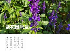 -石家庄市植物园