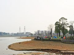 -金沙湖公园