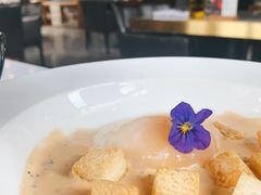 低温有机蛋佐黑松露-IL Forno 意坊·意大利餐厅(花园店)