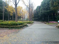 -苏州河梦清园环保主题公园