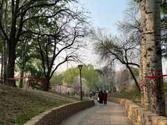 -元大都城垣遗址公园