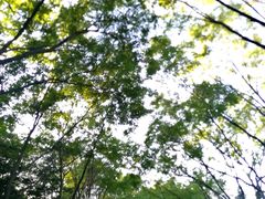 -森林公园(尖草坪区)
