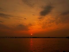 -宝安西湾红树林湿地公园