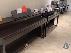 -雅歌音乐培训中心·钢琴培训·乐器培训(交道口店)