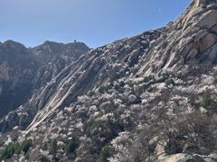 -北京凤凰岭
