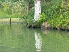 -宜兴龙背山森林公园