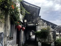 -震泽古镇